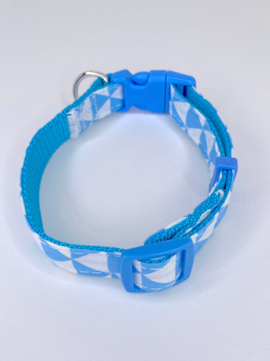 Blue's Clues Collar