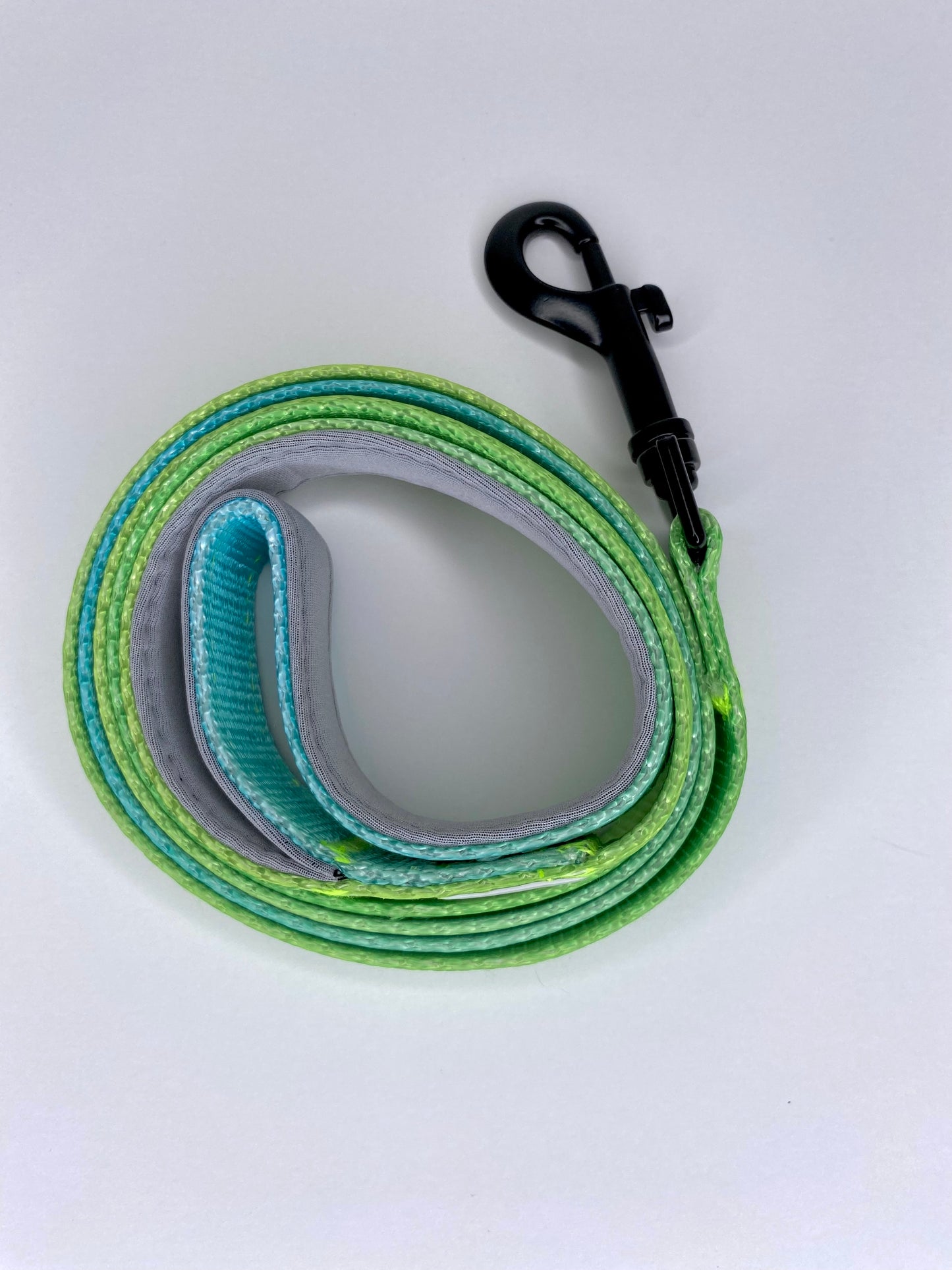 Peacock City Leash