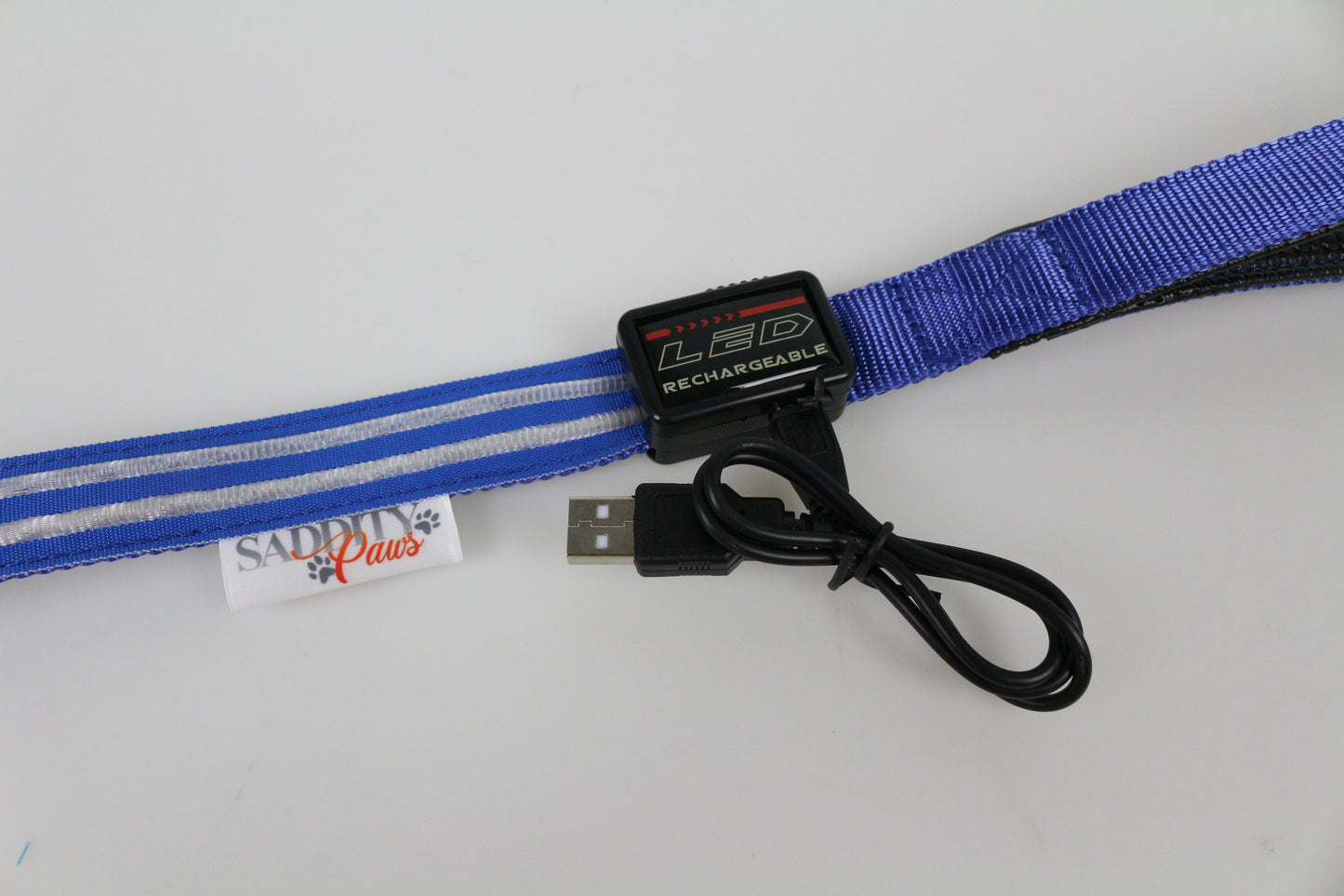 LED Neon Blue Leash