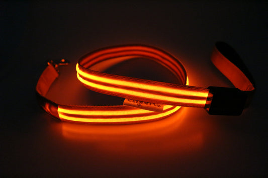 LED Neon Orange Leash