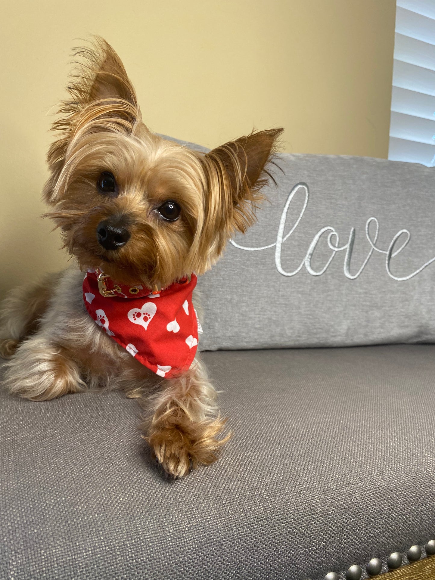 Wuv You Bandana