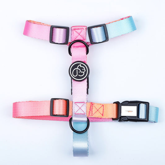 Candyland Harness